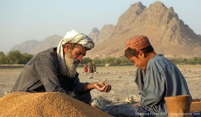 Farmer Success Story